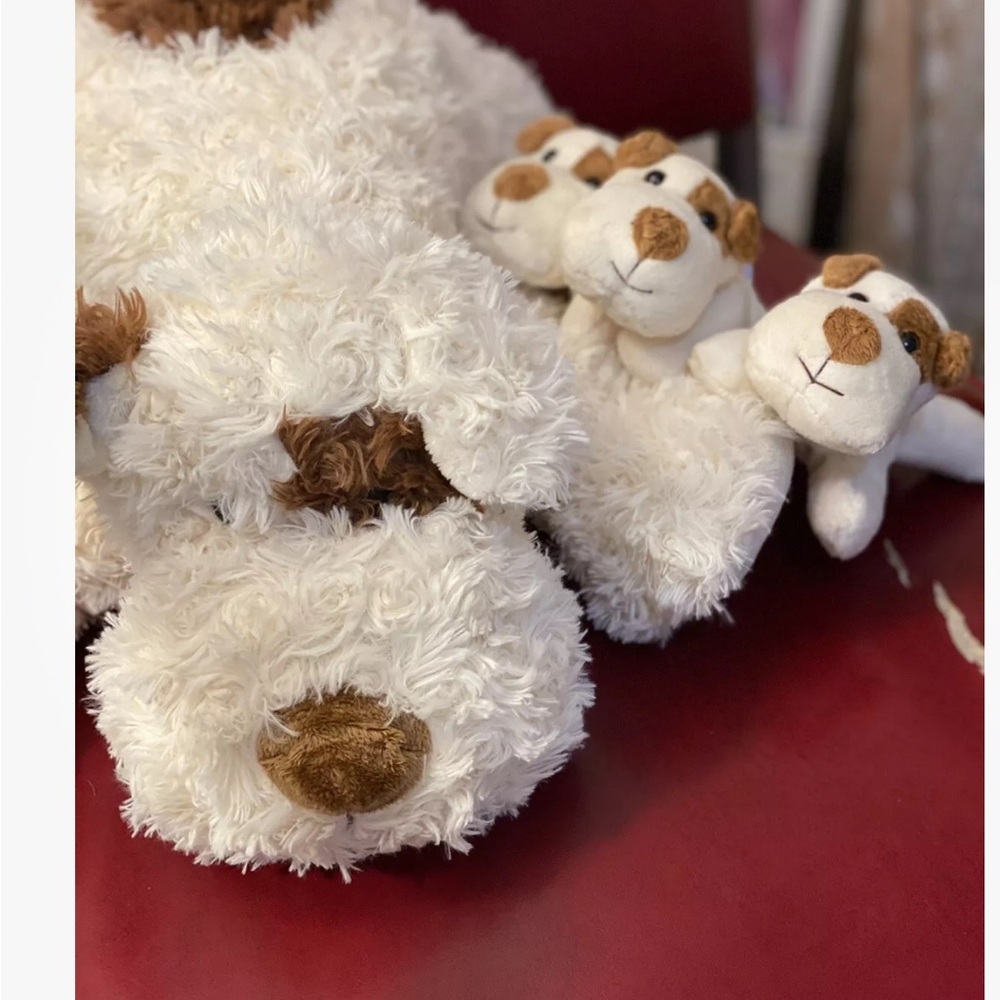 dog with puppies